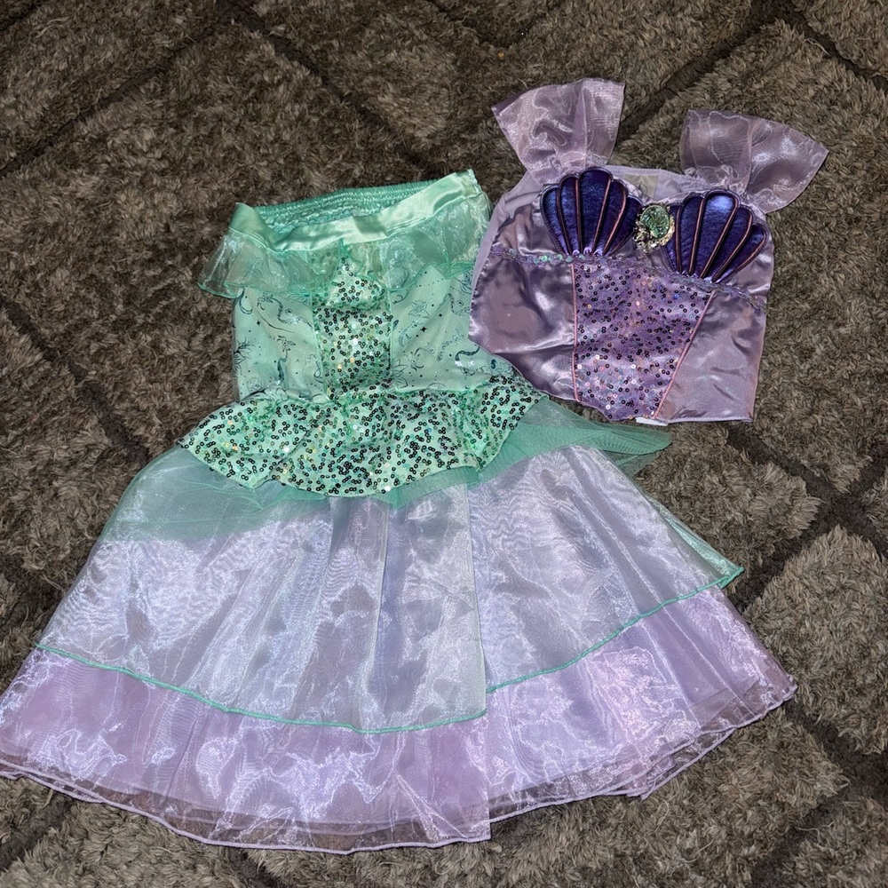 Mermaid Costume Set in Purple and Green